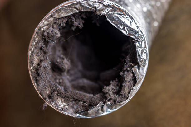 Best Professional Duct Cleaning Services  in New Deal, TX