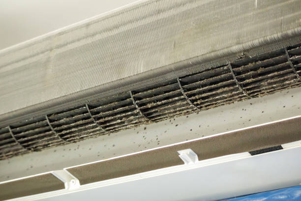 Best Affordable Air Duct Cleaning  in New Deal, TX
